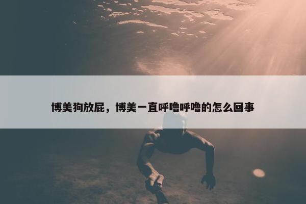 博美狗放屁，博美一直呼噜呼噜的怎么回事