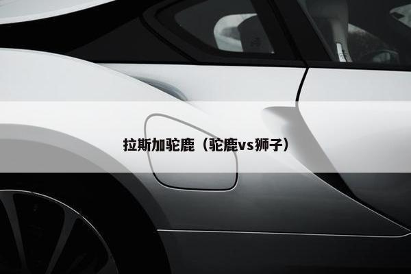 拉斯加驼鹿（驼鹿vs狮子）