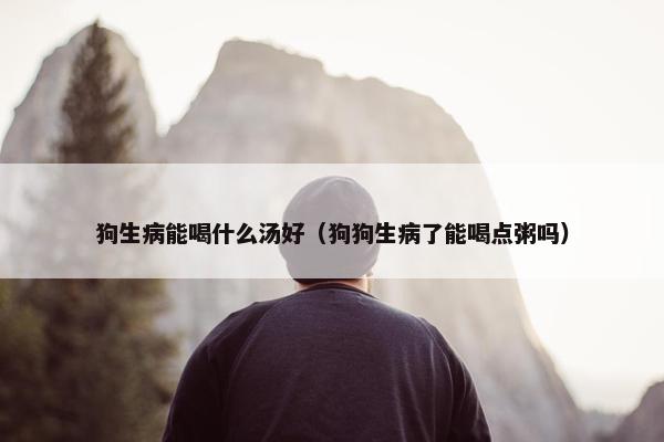 狗生病能喝什么汤好（狗狗生病了能喝点粥吗）