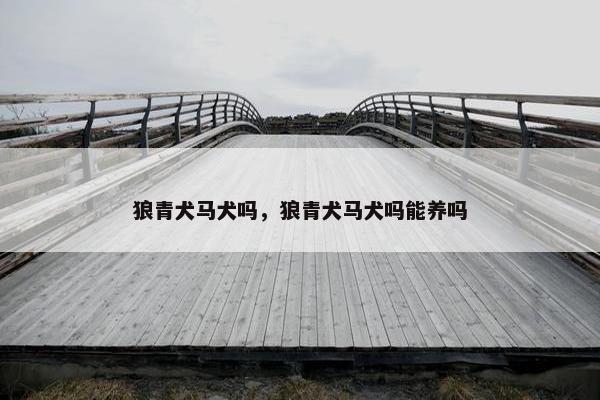 狼青犬马犬吗，狼青犬马犬吗能养吗