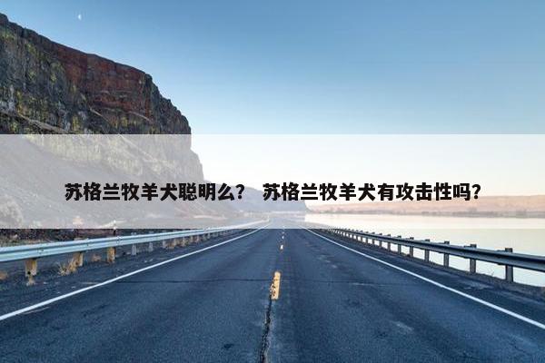苏格兰牧羊犬聪明么？ 苏格兰牧羊犬有攻击性吗？
