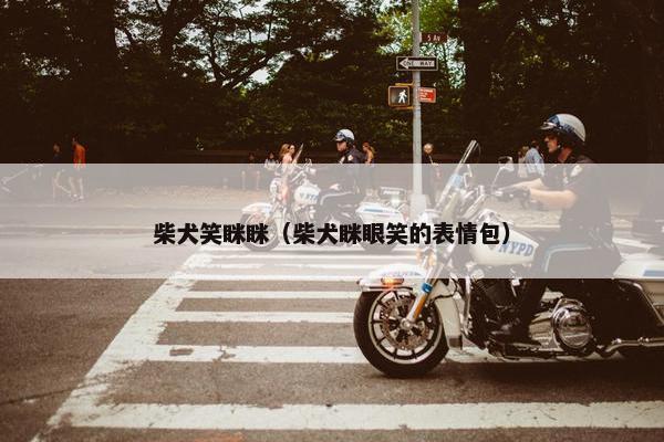 柴犬笑眯眯（柴犬眯眼笑的表情包）