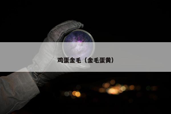 鸡蛋金毛（金毛蛋黄）