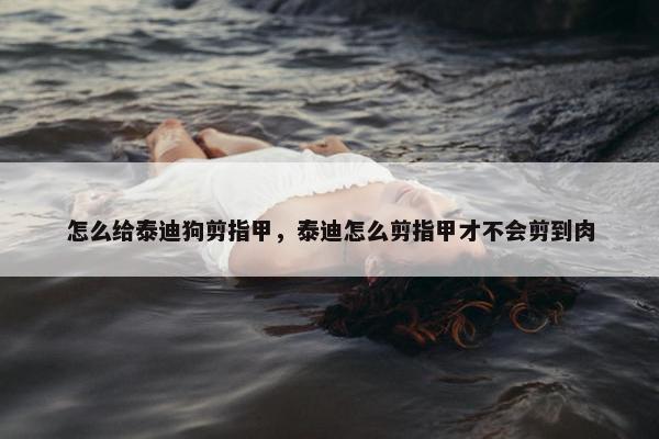 怎么给泰迪狗剪指甲，泰迪怎么剪指甲才不会剪到肉