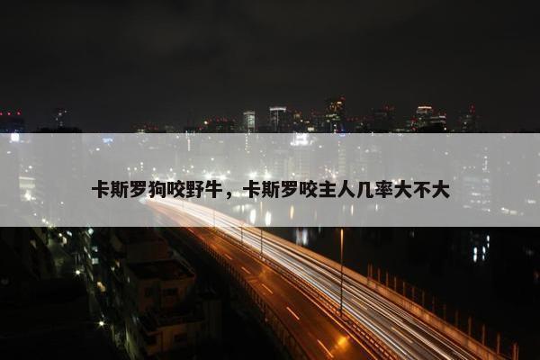 卡斯罗狗咬野牛，卡斯罗咬主人几率大不大