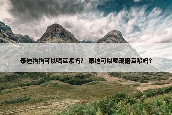 泰迪狗狗可以喝豆浆吗？ 泰迪可以喝现磨豆浆吗？