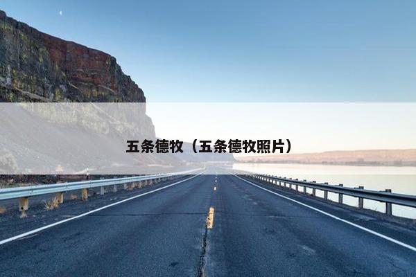 五条德牧（五条德牧照片）