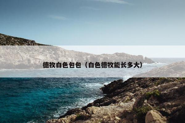 德牧白色包包（白色德牧能长多大）