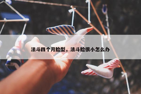 法斗四个月脸型，法斗脸很小怎么办