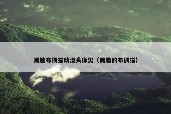 黑脸布偶猫动漫头像男（黑脸的布偶猫）