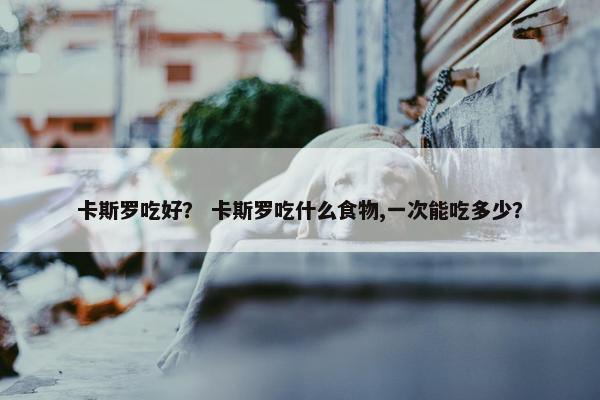 卡斯罗吃好？ 卡斯罗吃什么食物,一次能吃多少？