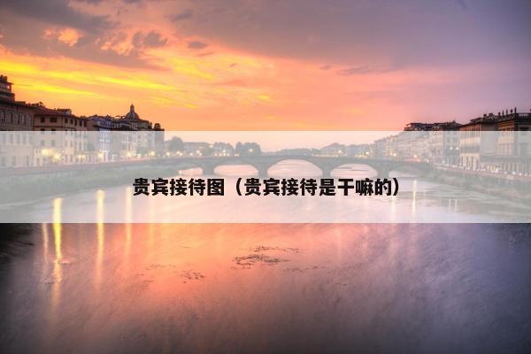 贵宾接待图（贵宾接待是干嘛的）