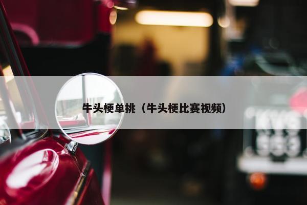 牛头梗单挑（牛头梗比赛视频）