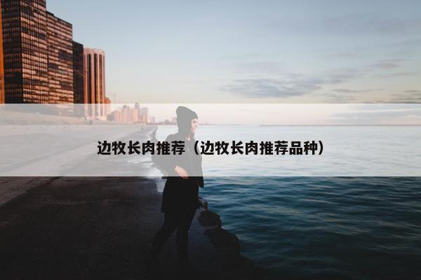 边牧长肉推荐（边牧长肉推荐品种）