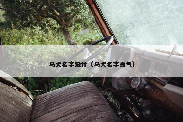马犬名字设计（马犬名字霸气）