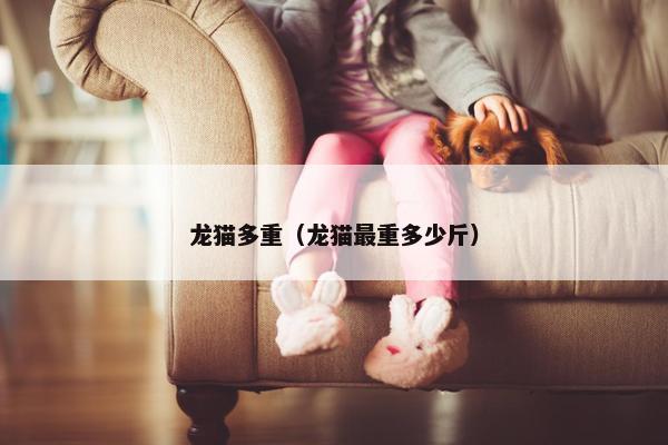 龙猫多重（龙猫最重多少斤）