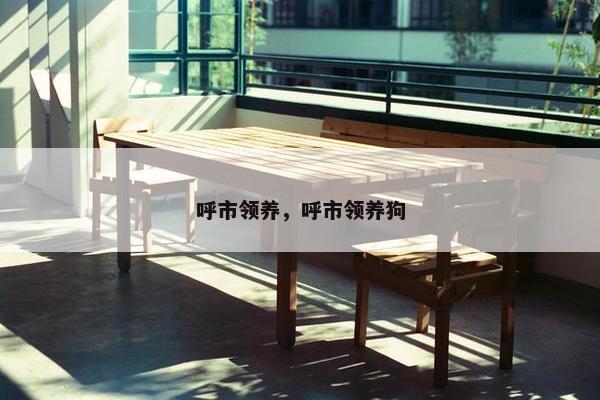 呼市领养，呼市领养狗