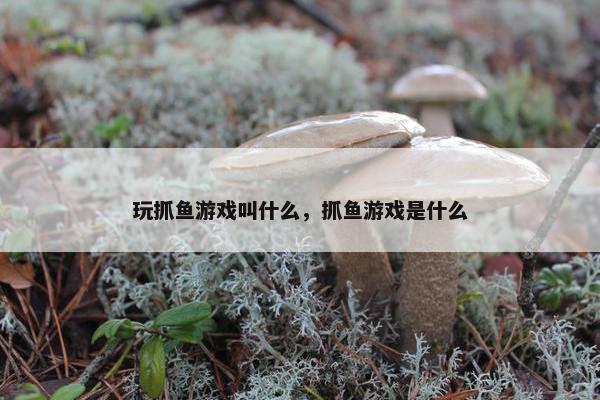 玩抓鱼游戏叫什么，抓鱼游戏是什么