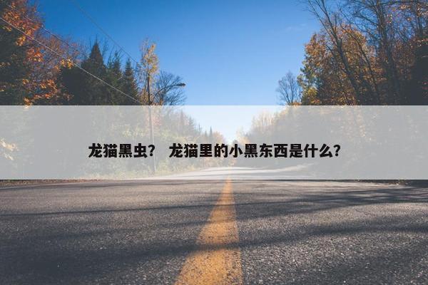 龙猫黑虫？ 龙猫里的小黑东西是什么？