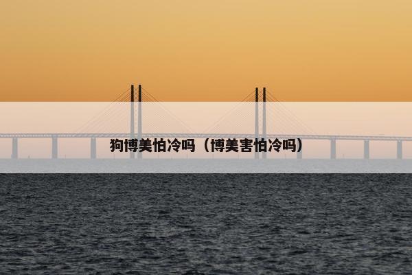 狗博美怕冷吗（博美害怕冷吗）