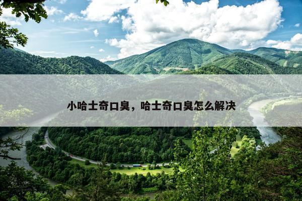 小哈士奇口臭，哈士奇口臭怎么解决