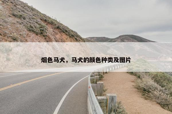 烟色马犬，马犬的颜色种类及图片