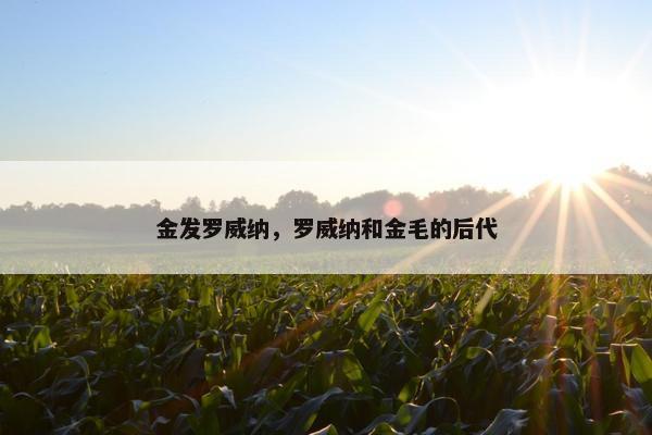金发罗威纳，罗威纳和金毛的后代