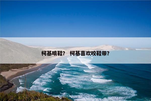 柯基啃鞋？ 柯基喜欢咬鞋带？