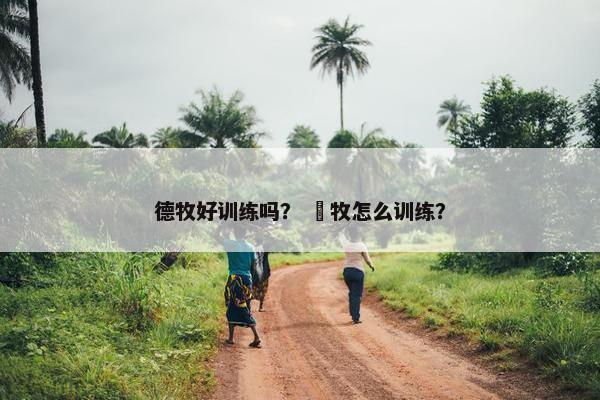 德牧好训练吗？ 徳牧怎么训练？