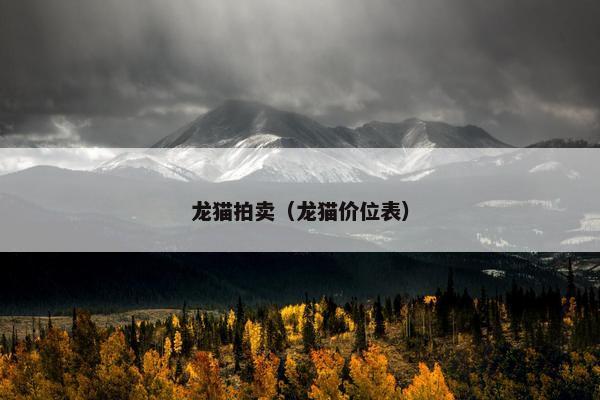 龙猫拍卖（龙猫价位表）