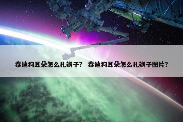 泰迪狗耳朵怎么扎辫子？ 泰迪狗耳朵怎么扎辫子图片？