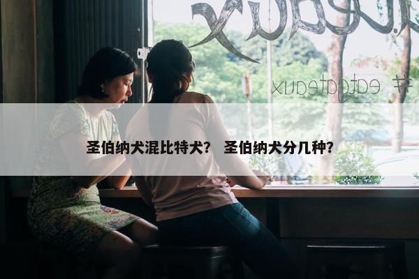 圣伯纳犬混比特犬？ 圣伯纳犬分几种？
