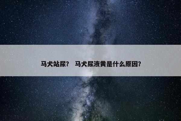 马犬站尿？ 马犬尿液黄是什么原因？