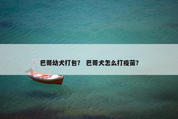 巴哥幼犬打包？ 巴哥犬怎么打疫苗？
