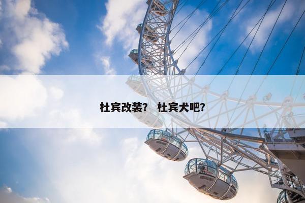 杜宾改装？ 杜宾犬吧？