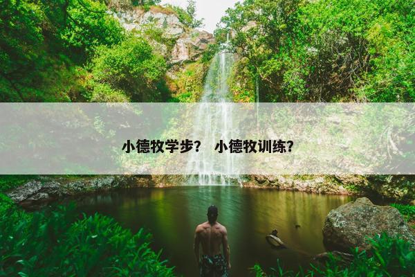 小德牧学步？ 小德牧训练？