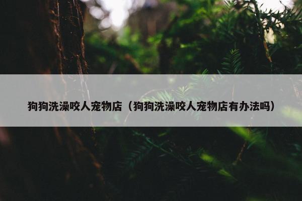 狗狗洗澡咬人宠物店（狗狗洗澡咬人宠物店有办法吗）