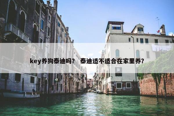 key养狗泰迪吗？ 泰迪适不适合在家里养？