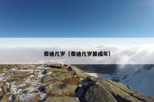 泰迪几岁（泰迪几岁算成年）