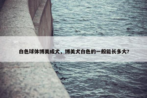 白色球体博美成犬，博美犬白色的一般能长多大?