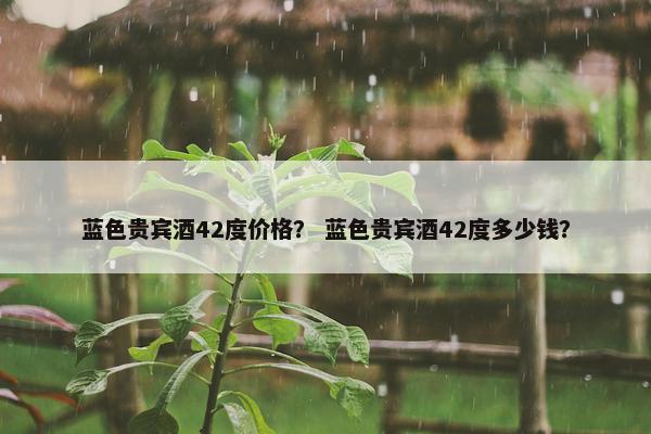 蓝色贵宾酒42度价格？ 蓝色贵宾酒42度多少钱？