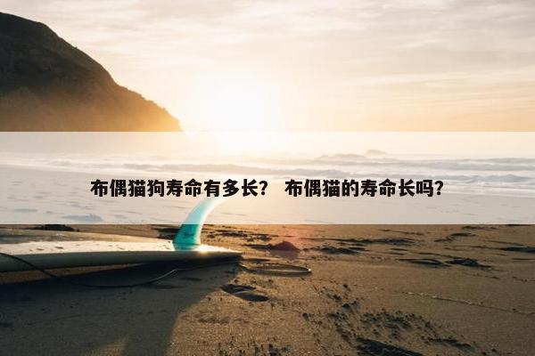 布偶猫狗寿命有多长？ 布偶猫的寿命长吗？