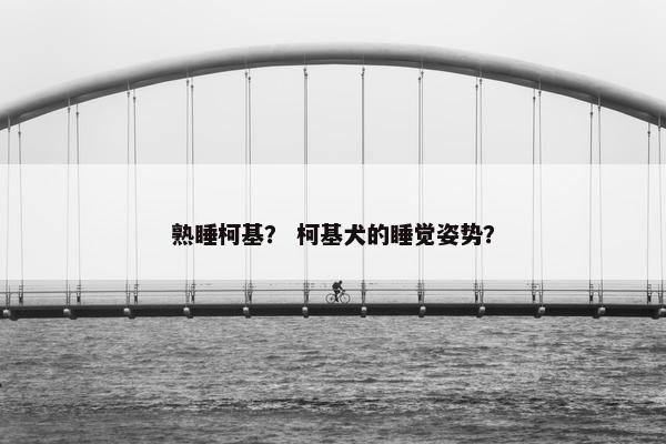熟睡柯基？ 柯基犬的睡觉姿势？