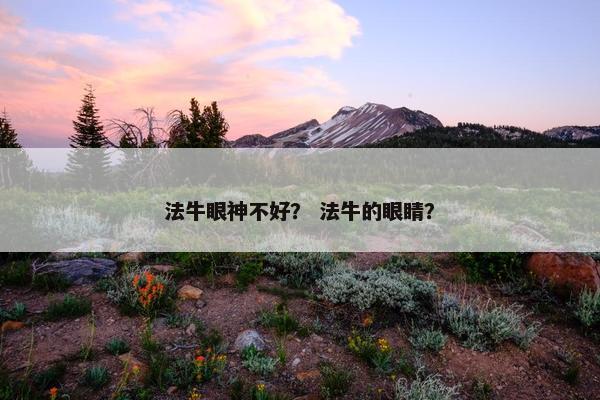 法牛眼神不好？ 法牛的眼睛？