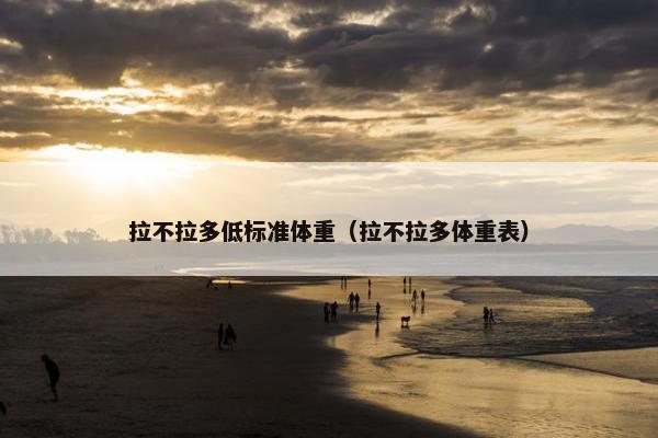 拉不拉多低标准体重（拉不拉多体重表）