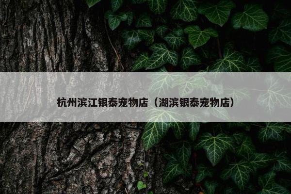 杭州滨江银泰宠物店（湖滨银泰宠物店）