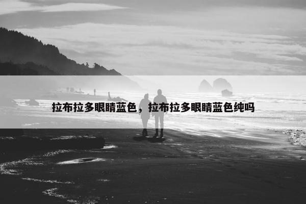 拉布拉多眼睛蓝色，拉布拉多眼睛蓝色纯吗