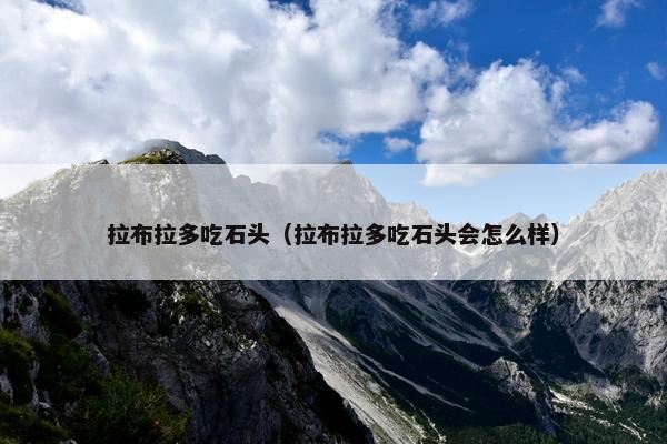 拉布拉多吃石头（拉布拉多吃石头会怎么样）