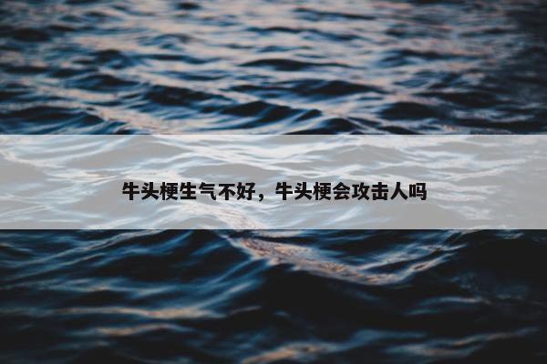 牛头梗生气不好，牛头梗会攻击人吗