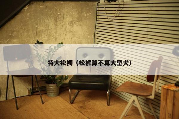特大松狮（松狮算不算大型犬）